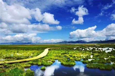 中国最美的高原湿地，广袤无垠，水草丰茂，你知道是哪吗？