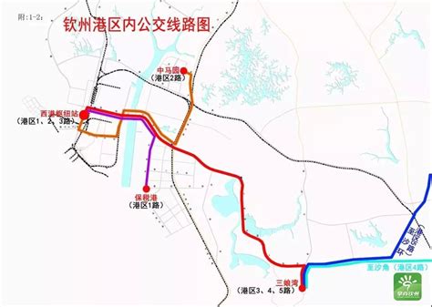 港城公交线路临时开通，27辆车直通港区、中马、三娘湾！_钦州市