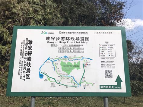 2019碧峰峡野生动物园-旅游攻略-门票-地址-问答-游记点评，雅安旅游旅游景点推荐-去哪儿攻略