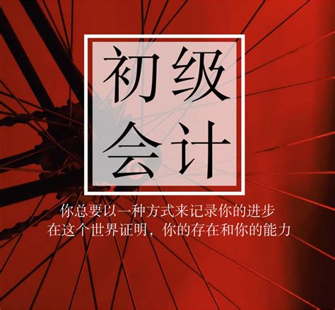 会计学堂【书课包】零基础入门学会计做账出纳报税工业商业真账实操课程老会计教手工帐电脑账纳税实训财务技能Excel数据处理分析_虎窝淘