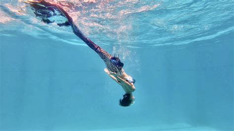潜羽美人鱼项目介绍-|舞蹈|花样游泳|自由潜|蹼泳 - 知乎