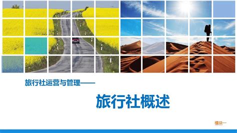 焦作市发布旅行社企业线上业务操作流程 - 河南省文化和旅游厅