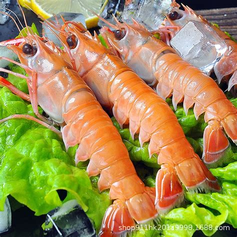 Ⅴ【内供】深海鳌虾刺身日料自助海鲜虾食材非鲜活新西兰斯干比虾-阿里巴巴
