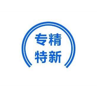 2023年度上海市“专精特新”企业_上海市企业服务云