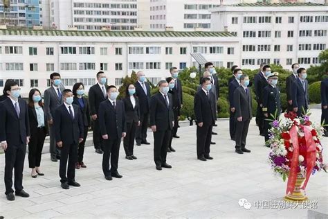 纪念抗美援朝 中国驻朝鲜大使馆祭扫友谊塔_凤凰网视频_凤凰网
