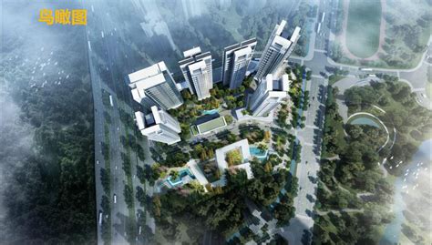 深圳大鹏新区：不到一年完成美的工业片区城市更新单元规划立项审批|平方米_新浪新闻