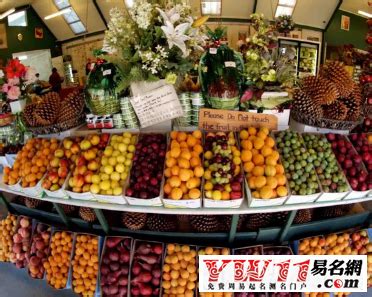 取个水果果业的名字,果园农场名字大全,大气的水果店名_大山谷图库