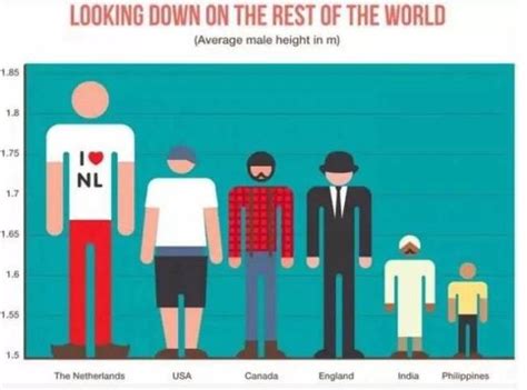 荷兰人身高高寿命高,荷兰人吃什么长那么高,荷兰人身高正在变矮_大山谷图库