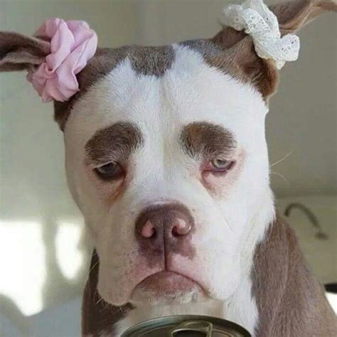 单身狗非主流头像
