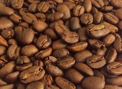 黄金曼特宁咖啡怎么喝,黄金曼特宁咖啡介绍 中国咖啡网