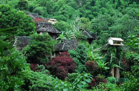 西双版纳植物园平面图,西双版纳植物园,云南西双版纳植物园_大山谷图库