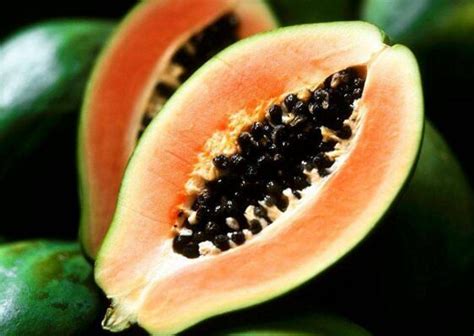 木瓜籽能吃吗（吃木瓜的功效与作用） – 碳资讯
