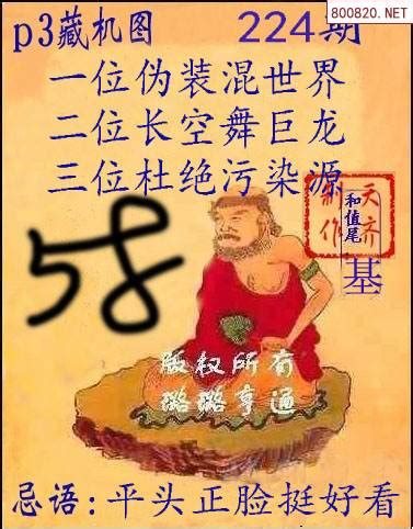 p323056期正版排列三藏机图+文字版藏机诗_天齐网
