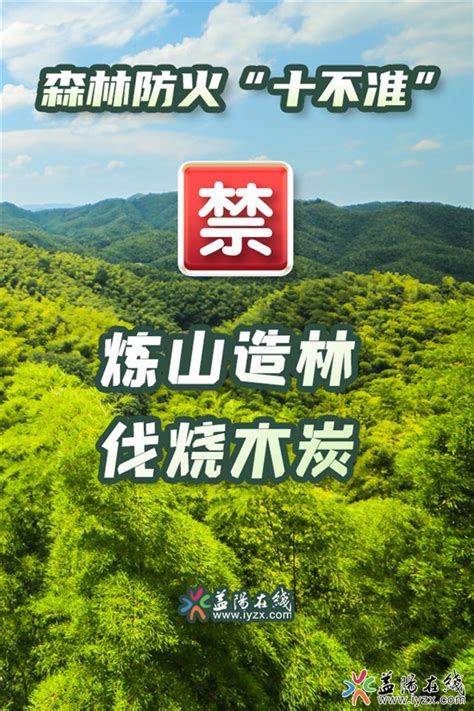 海报 | 森林防火“十不准” - 益阳对外宣传官方网站