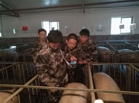 正能集团养猪事业部第一期养猪人才培训班活动精彩剪辑,无此类名,陕西正能农牧科技有限责任公司