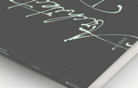 设计师的设计日记书籍封面设计效果图|平面|书籍/画册|杨欢欢惠惠子_原创作品-站酷ZCOOL