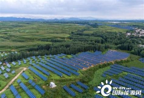 河北内丘推广“农光互补” 清洁能源助力绿色发展-国际新能源网
