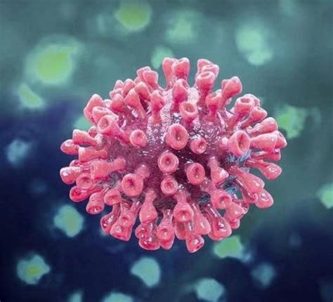 美国公布了新冠病毒在电子显微镜下的图像，新冠病毒长得有什么特别之处吗？ - 知乎