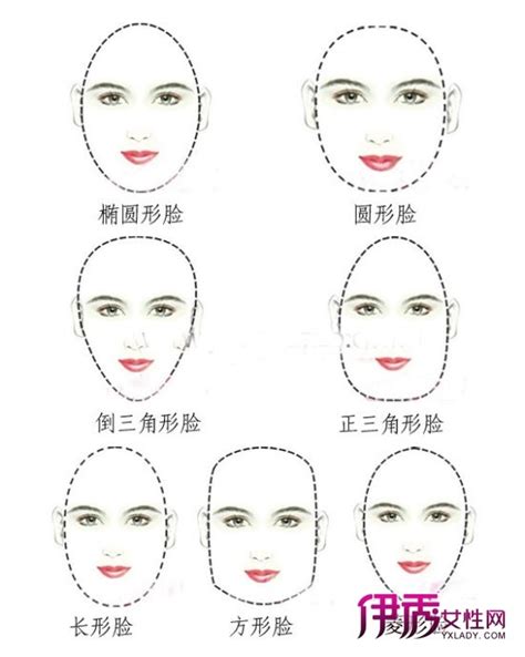 标准脸型图片 发型与脸型搭配_脸型图_伊秀美容网|yxlady.com