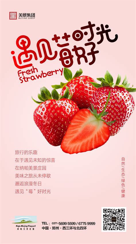草莓海报|平面|海报|西瓜wifi空调 - 原创作品 - 站酷 (ZCOOL)