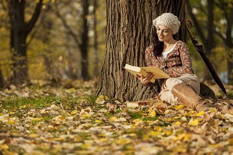 秋天坐在枫树下看书的美女摄影图片 - 三原图库sytuku.com