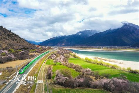 西藏林芝市巴宜区农业农村局开展重要农时防抗灾物资农膜发放活动 - 中国网