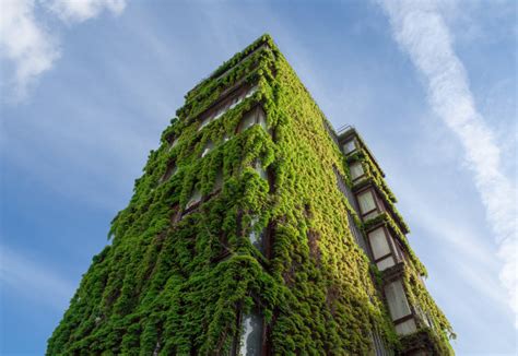中国十大绿色建筑，中国有哪些绿色建筑