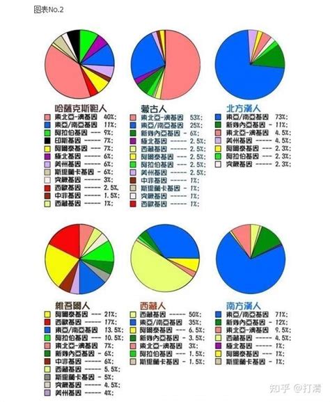 中国少数民族的汉化程度排名，满族列第一-北京时间