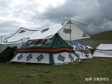 有多少人去西藏，只是为了这些地方！|然乌湖|大昭寺|西藏_新浪新闻