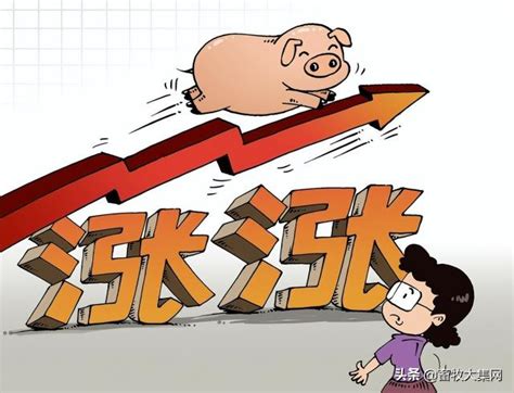 生猪期货最新价格—今日生猪期货走势图最新 - 理财资讯 - 华网