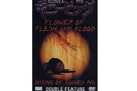 《豚鼠系列之2:血肉之花》-高清电影-完整版在线观看