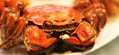 你想好了今年去哪里、和谁吃大闸蟹吗？ 苏州阳澄湖半岛旅游发展有限公司