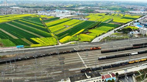 中铁快运股份有限公司莅临武汉棕地生态环保科技有限公司参观 - 武汉棕地生态环保科技有限公司