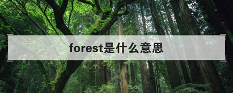 forest是什么意思（盘点韩剧forest的梗）_娱乐_天鹮网