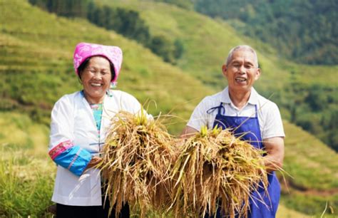 中国农民丰收节：幸福村歌唱起来