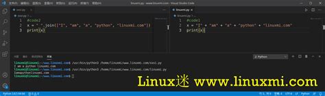 加快Python代码速度的10个最佳实用提示 - Linux迷