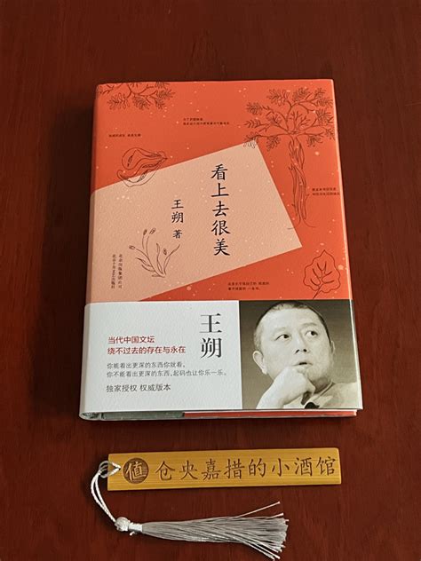 北京十月文艺出版社小说怎么样 喜欢王朔作品，这本书一定不要错过_什么值得买