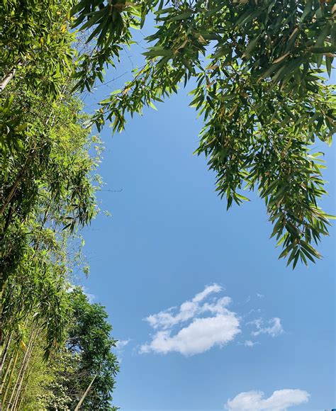 青海湖天气晴朗 风轻云淡景色醉人-图片频道