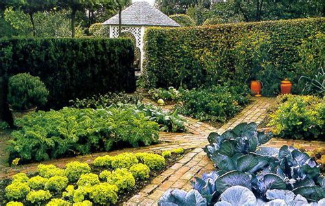 如果你有个院子，会拿来种菜吗？|院子|蔬菜|花园_新浪新闻