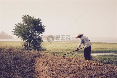 田间劳作的农民高清图片下载-正版图片502453390-摄图网