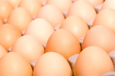 2021年12月17日全国鸡蛋早间价格行情参考 - 知乎