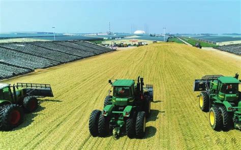 构建现代农业“三大体系”农业农村经济持续向好
