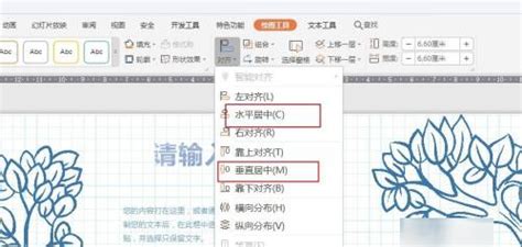 ppt水平和垂直在哪里设置,水平居中和垂直居中怎么设置html - 品尚生活网