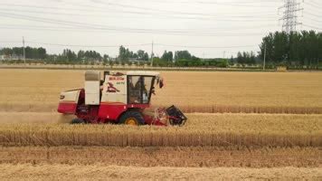 麦收工作基本结束，夏种进度已超九成——济南：多举措应对高温全力保障夏播顺利推进|玉米|小麦|夏收_新浪新闻