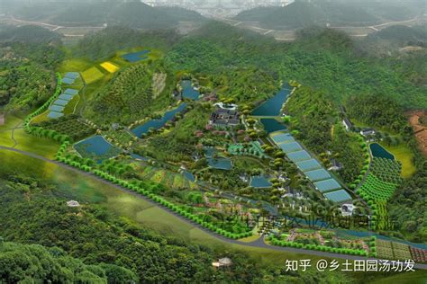 儋州：以海南热带水果IP为主题 打造“中国首个热带农业迪士尼乐园”_社会热点_社会频道_云南网