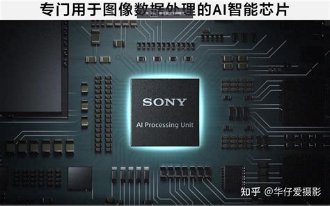 索尼（中国）有限公司（索尼 SONY 官网网址）