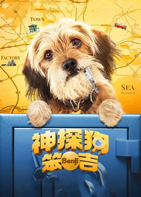 《我的汉克狗》探秘汪星人的快乐源泉 - 我的汉克狗-小米游戏中心