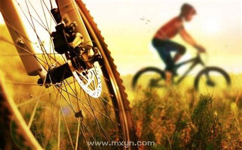 梦见自己骑自行车是什么意思预兆 - 原版周公解梦大全