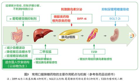2型糖尿病基层诊疗指南（实践版·2019）_农药中毒急救网