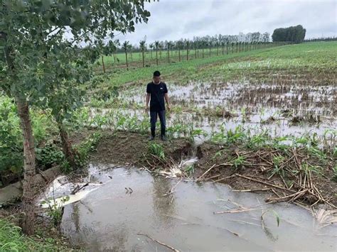 安徽暴雨致洪水围村，万亩农田被淹_一手Video-梨视频官网-Pear Video